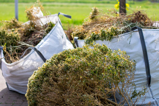 Best Construction Debris Removal  in Lagrange, IN