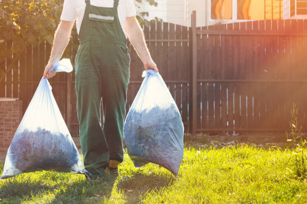 Best Yard Cleanup Services  in Lagrange, IN